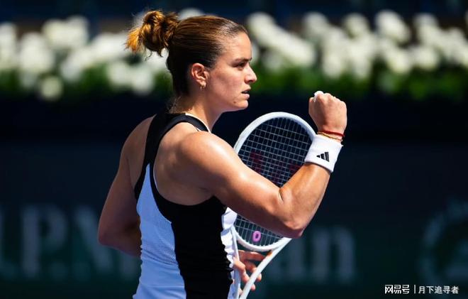 艾纳维的无 艾纳维的无